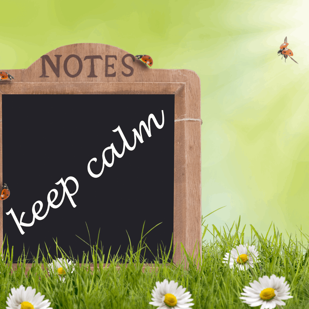 Einstein Quote Image