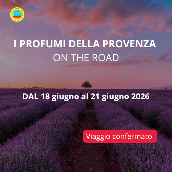 Provenza on the Road Lavanda e Curve